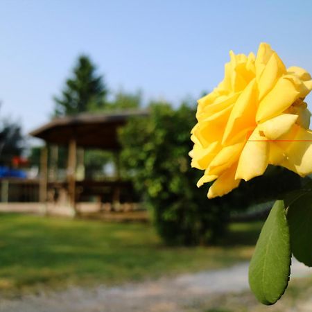 Agriturismo Ai Vigneti Ponti sul Mincio Εξωτερικό φωτογραφία
