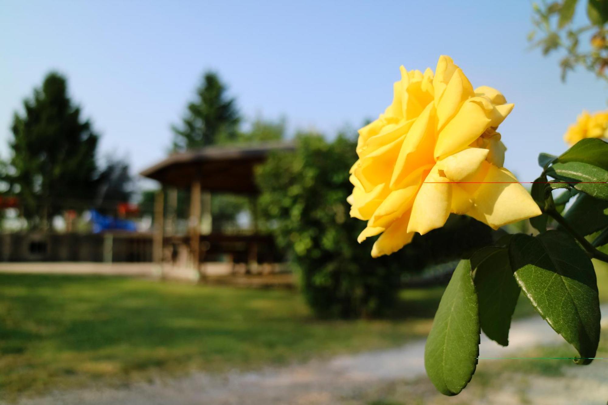 Agriturismo Ai Vigneti Ponti sul Mincio Εξωτερικό φωτογραφία